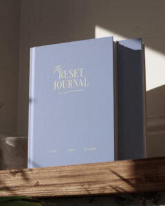 couverture teh reset journal editions creative spark par manifa kind-7