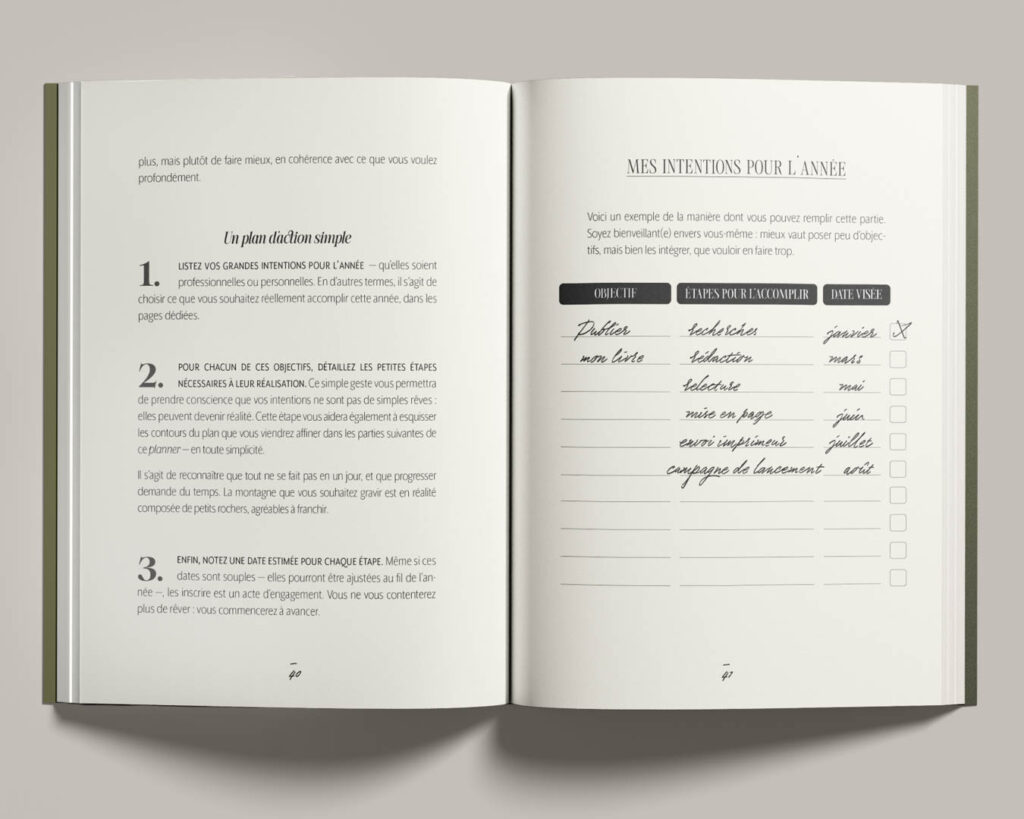 vue des pages intérieures du planner journalier the Art of Action, des éditions Creative Spark, par Manifa Kind