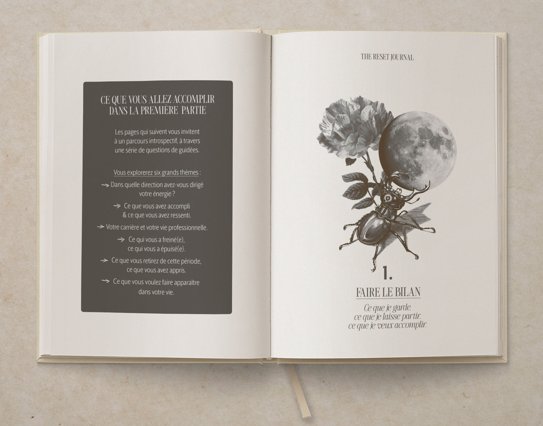 Book-Mockup-open02